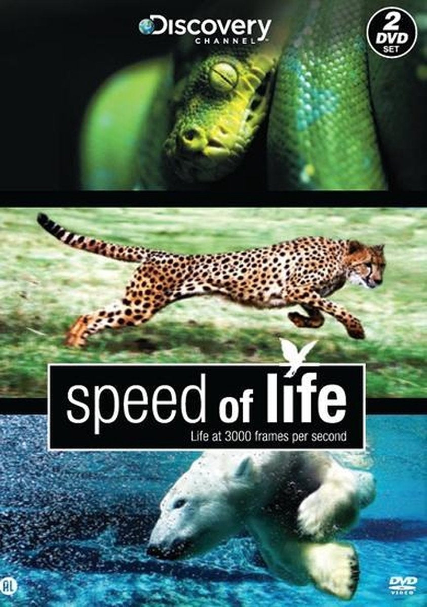 Speed of life – DVD