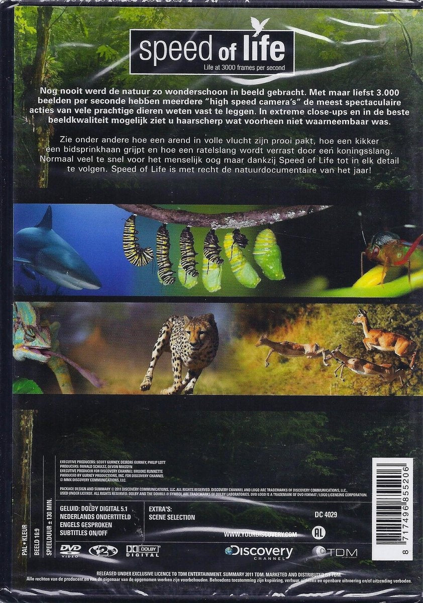 Speed of life – DVD