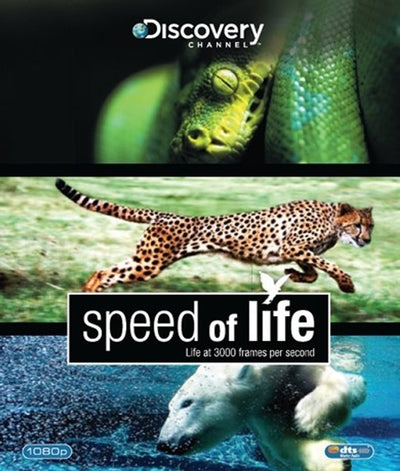 Speed of life (Blu-ray)