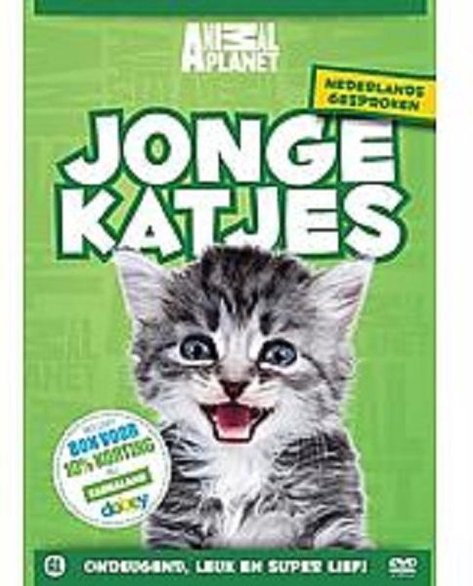 Jonge katjes – DVD