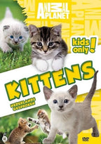 Jonge katjes – DVD