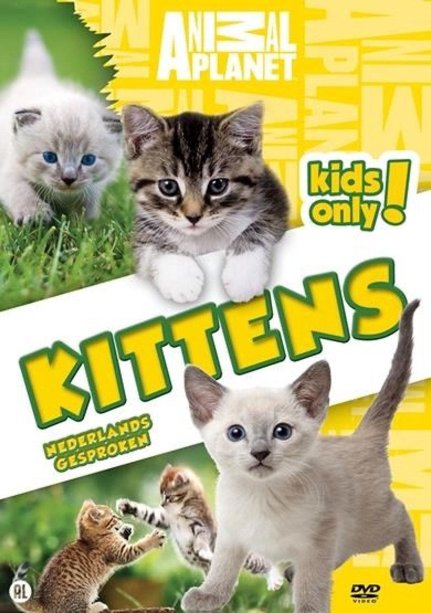 Jonge katjes – DVD