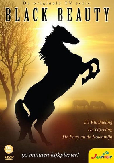 Black beauty #1 – DVD
