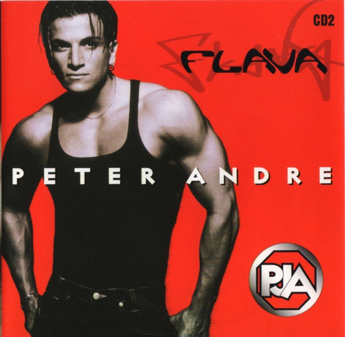 Flava (radio 7 edit – slammin' – crichton & morris 7 mix – jungle mix ) – CD
