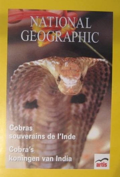 Cobra's koningen van india – DVD