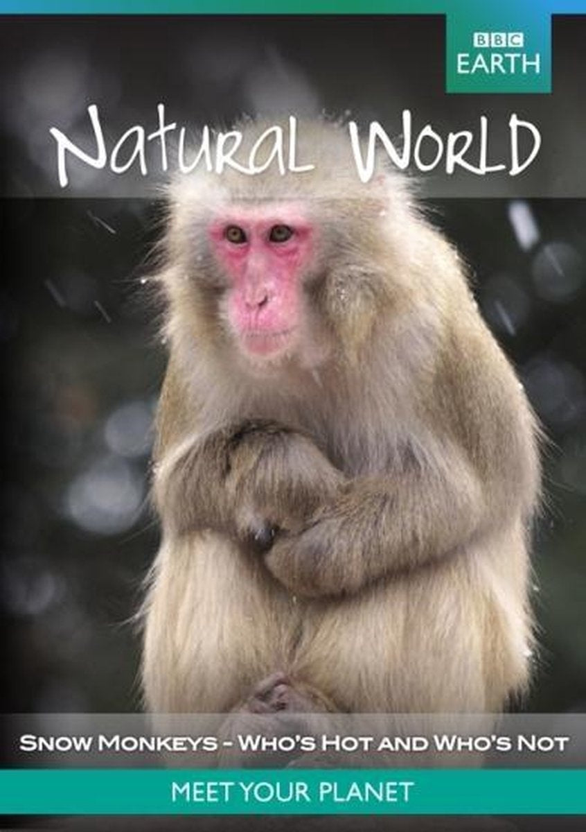 Bbc earth natural world – snow monkey – DVD