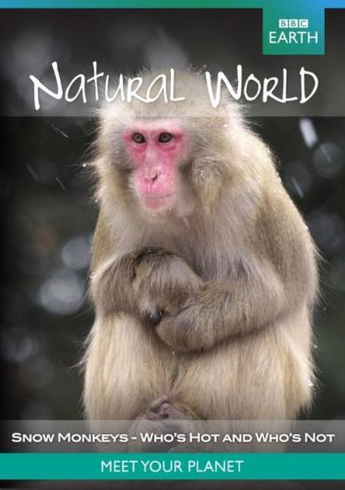 Bbc earth natural world – snow monkey – DVD